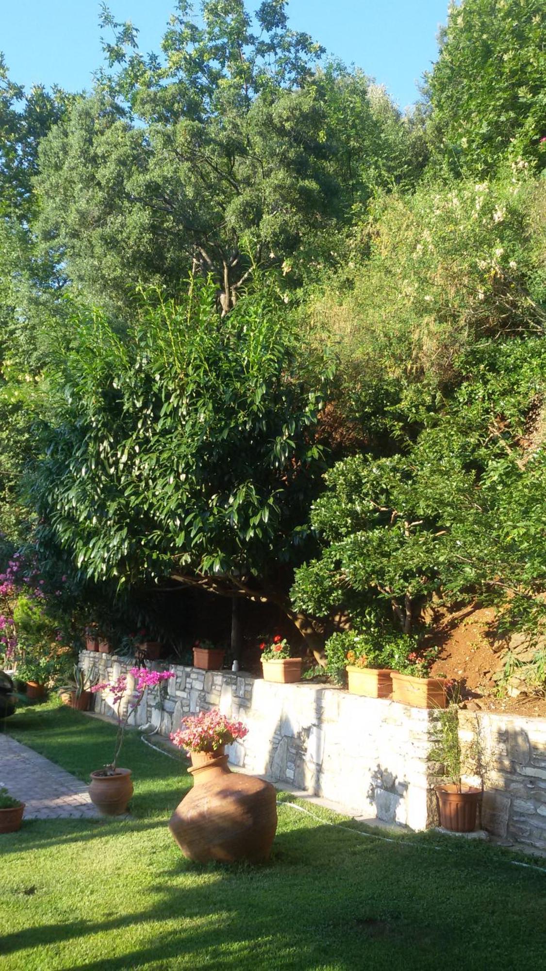Villa Dimitra Skala Potamia  Exteriör bild