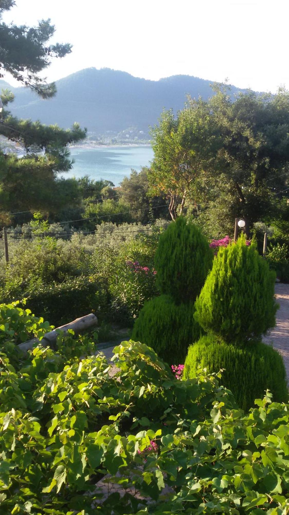 Villa Dimitra Skala Potamia  Exteriör bild