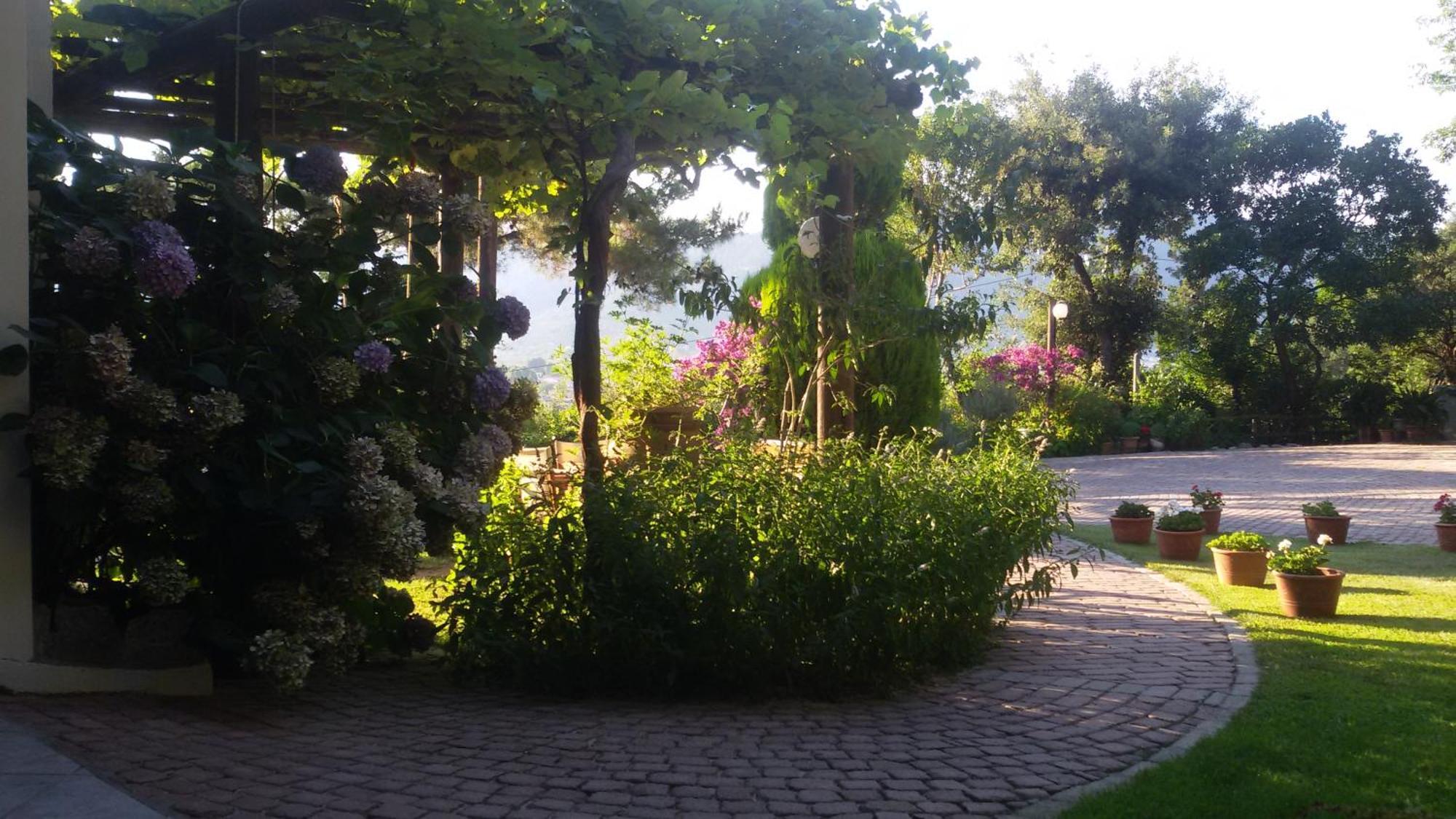 Villa Dimitra Skala Potamia  Exteriör bild
