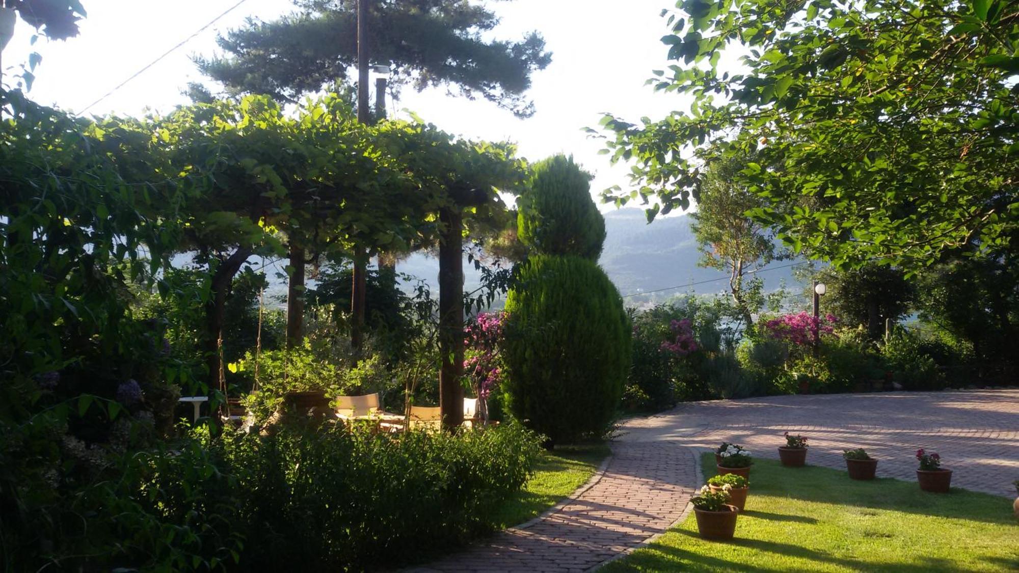 Villa Dimitra Skala Potamia  Exteriör bild